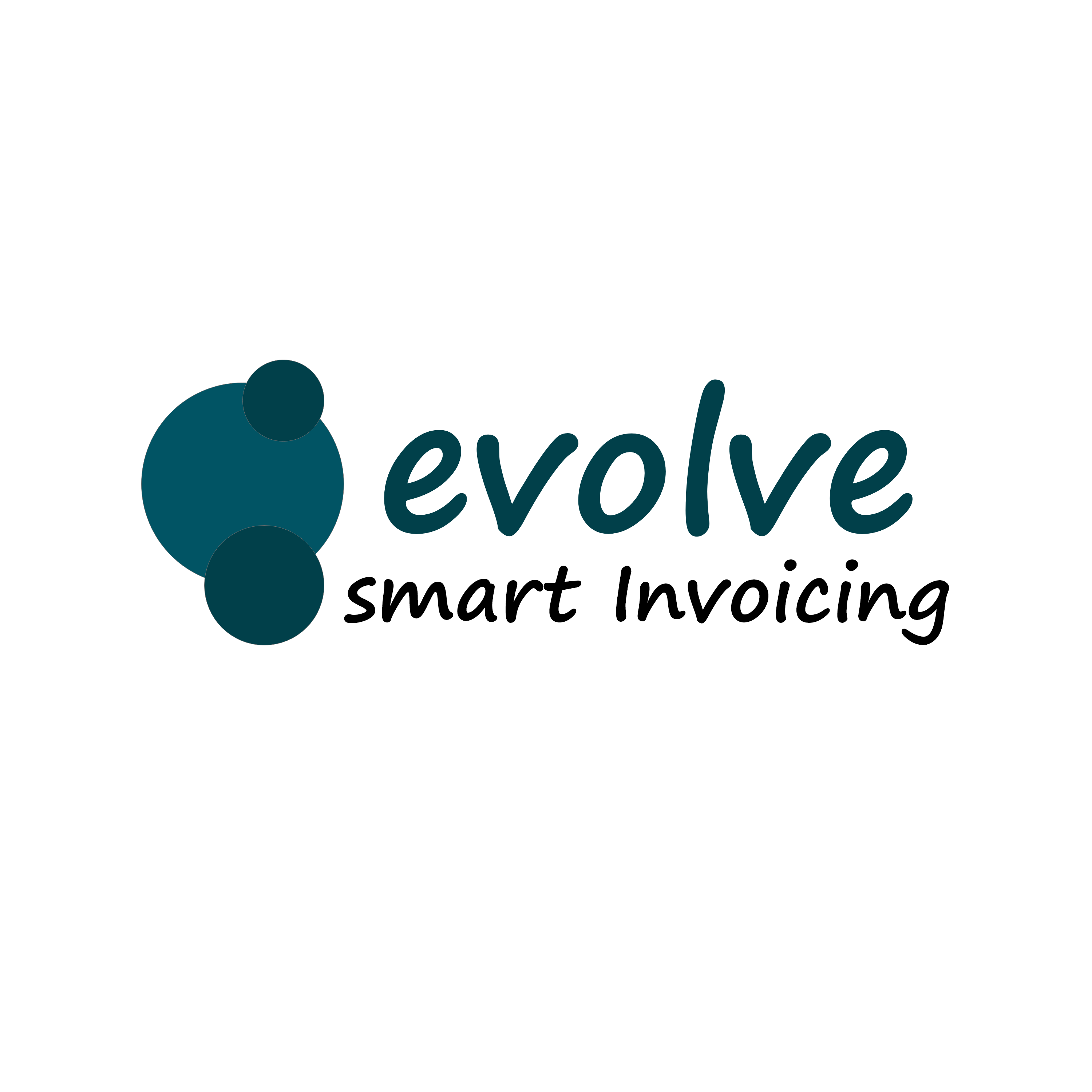Evolve POS